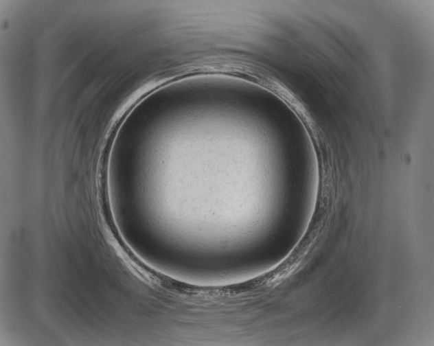 X0000086060803200703301039