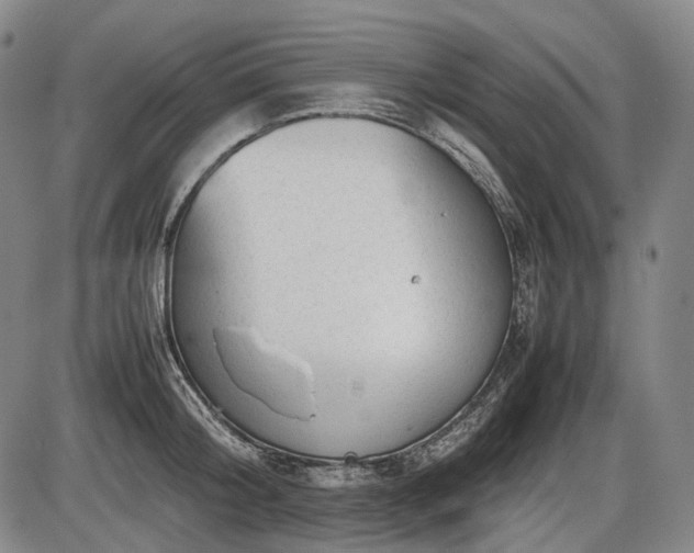 X0000086060804200703301039