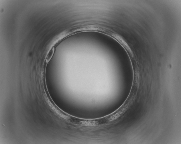 X0000086060805200703301039