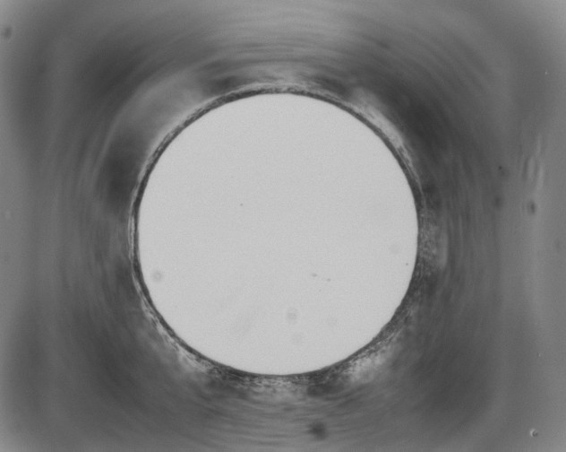 X0000086060807200703301039