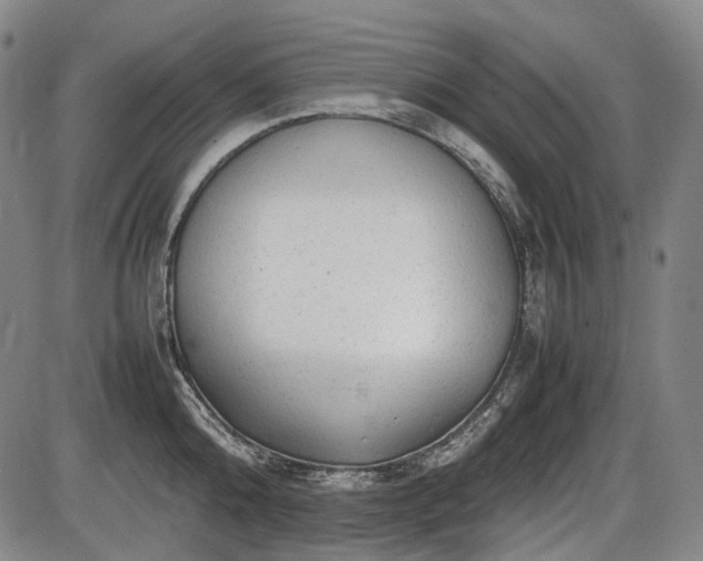 X0000086060808200703301039