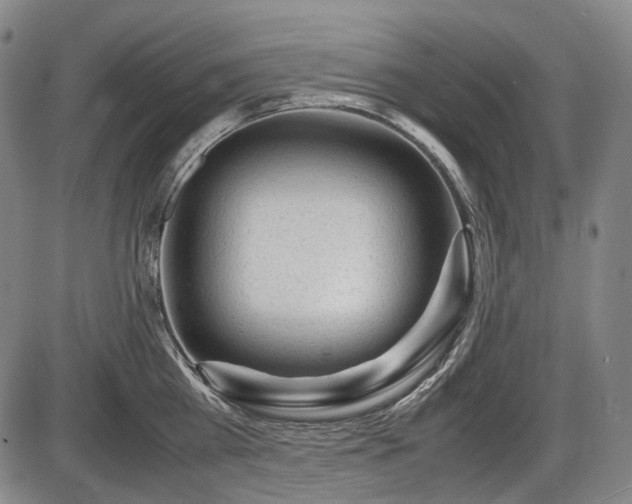 X0000086060809200703301039