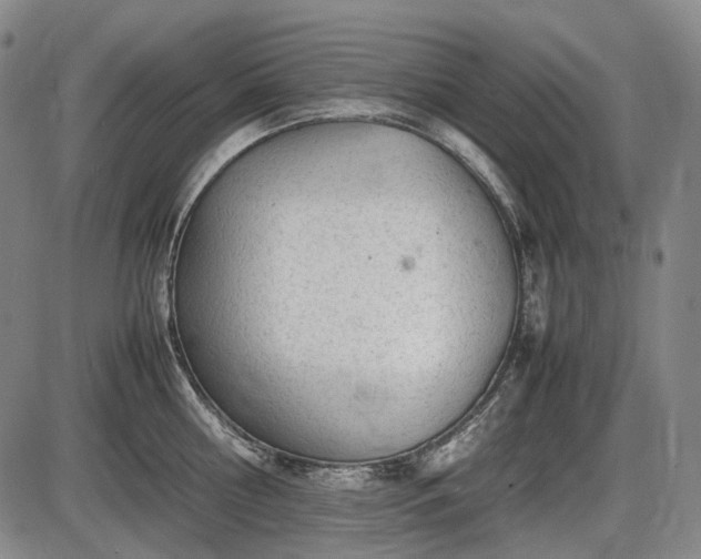 X0000086060810200703301039