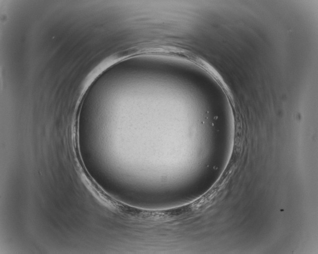 X0000086060811200703301039