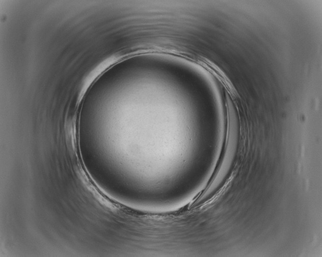 X0000086060812200703301039