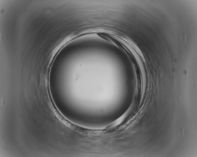 X0000086060813200703301039