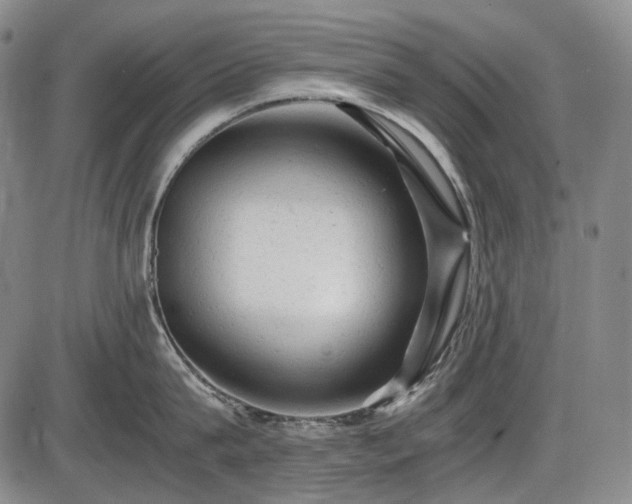 X0000086060815200703301039