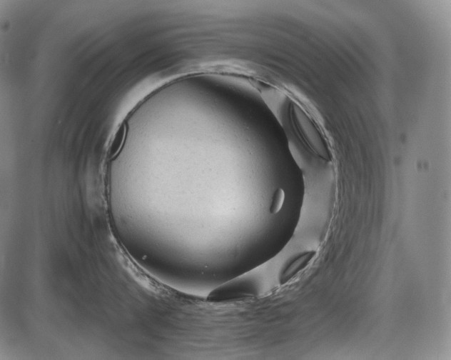 X0000086060816200703301039