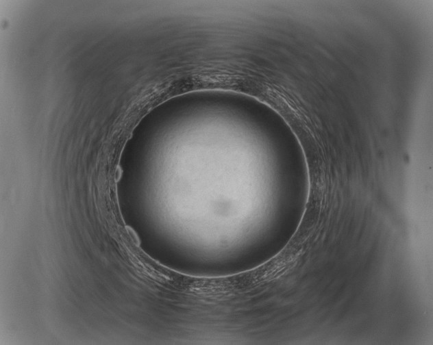 X0000086060817200703301038