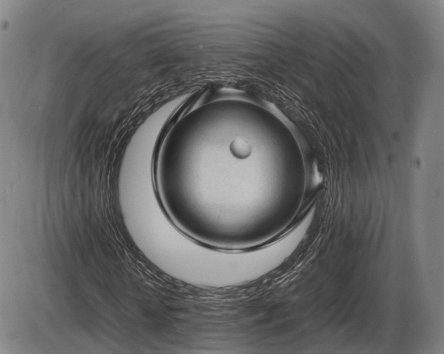 X0000086060818200703301038