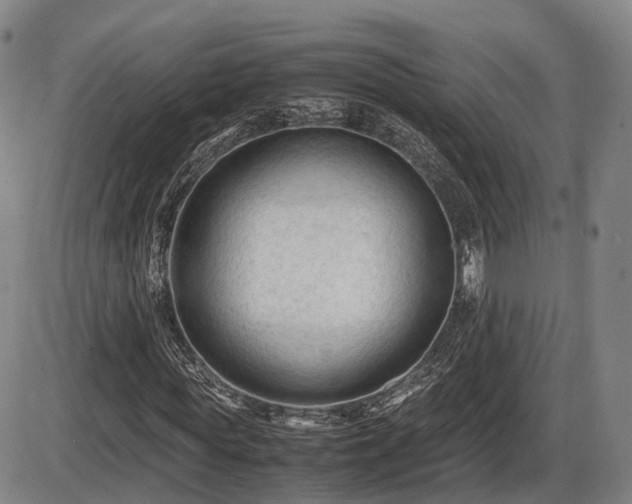 X0000086060819200703301038