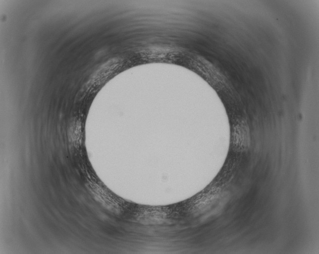 X0000086060820200703301038