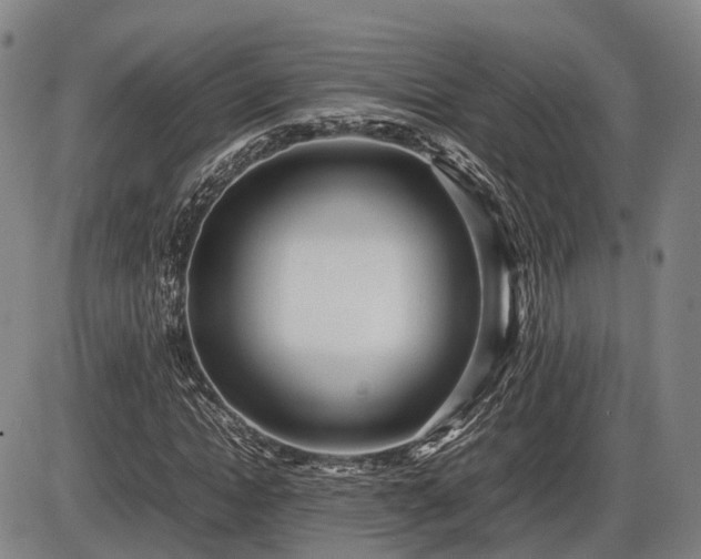 X0000086060822200703301038