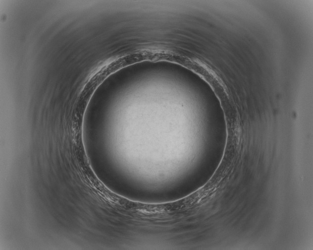 X0000086060823200703301038