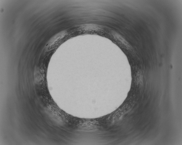 X0000086060824200703301038