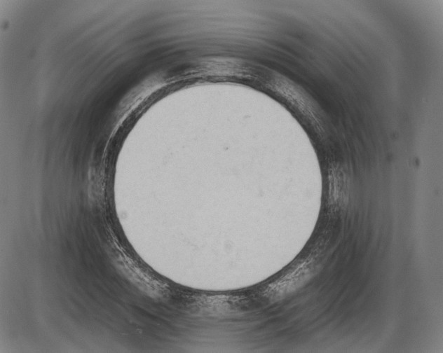 X0000086060828200703301038