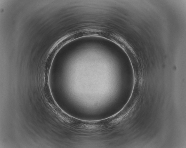 X0000086060829200703301038