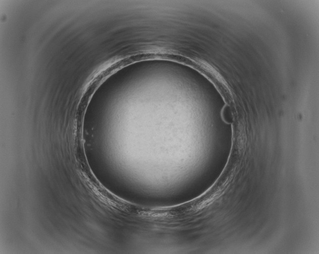 X0000086060831200703301038