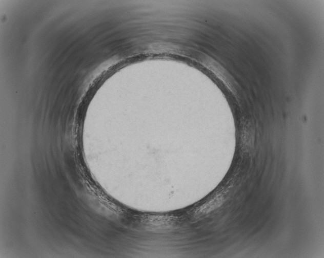 X0000086060832200703301038