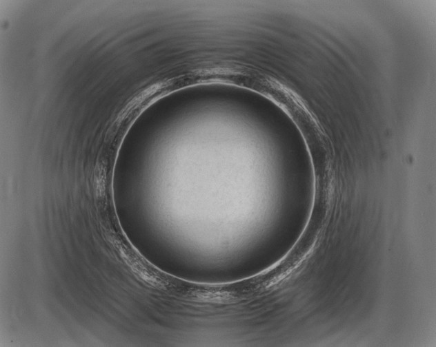 X0000086060833200703301038