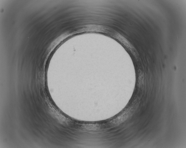 X0000086060836200703301039