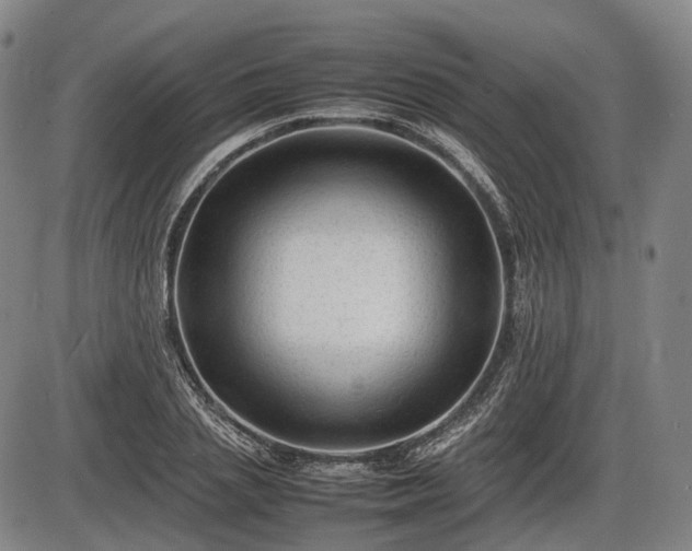 X0000086060837200703301039