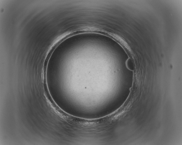 X0000086060839200703301039