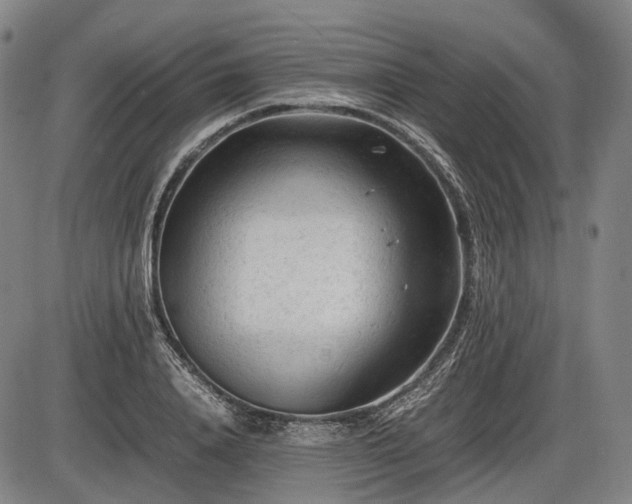 X0000086060840200703301039