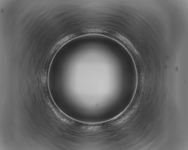 X0000086060841200703301039