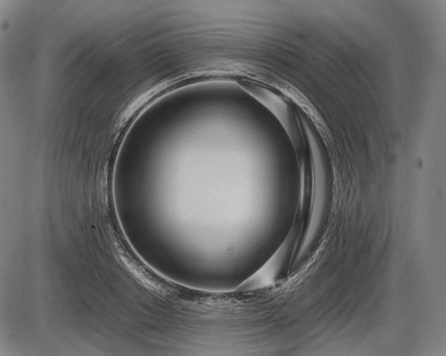 X0000086060842200703301039