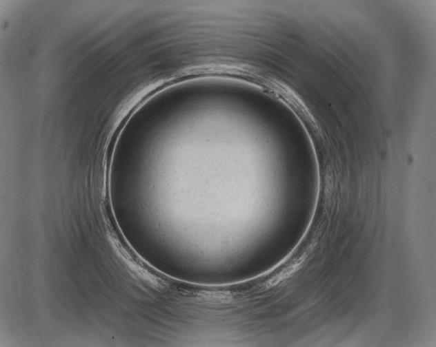 X0000086060844200703301039