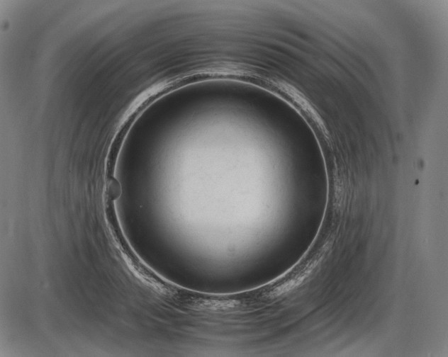 X0000086060845200703301039