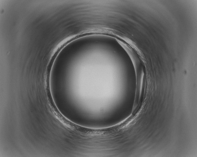 X0000086060846200703301039