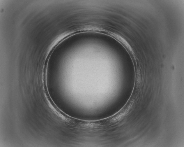 X0000086060847200703301039