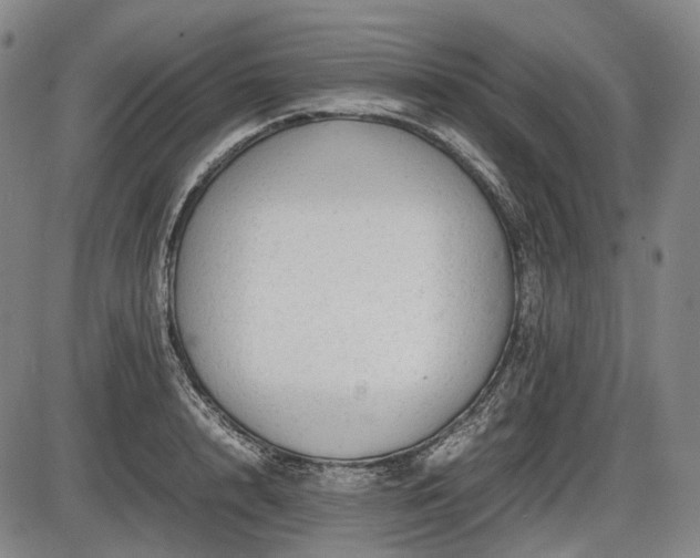 X0000086060848200703301039