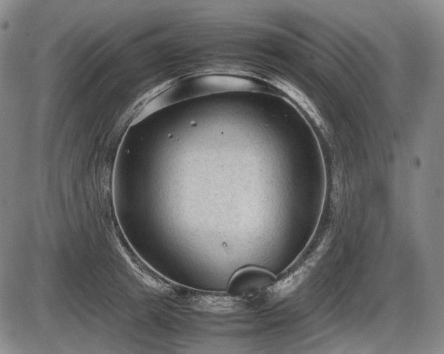 X0000086060849200703301039