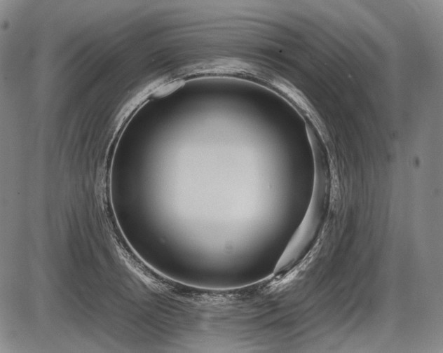 X0000086060850200703301039