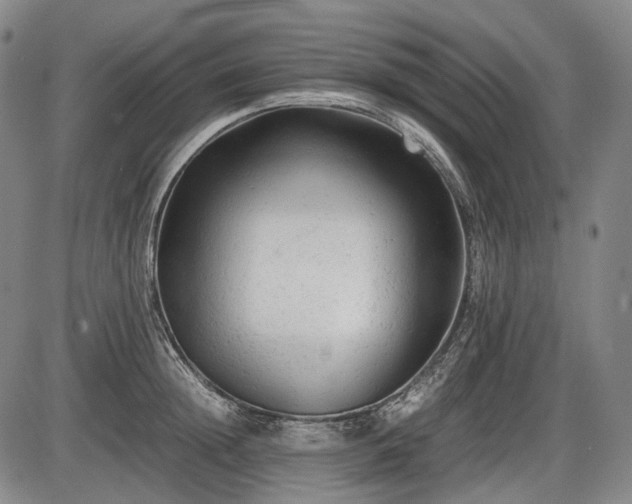 X0000086060852200703301039