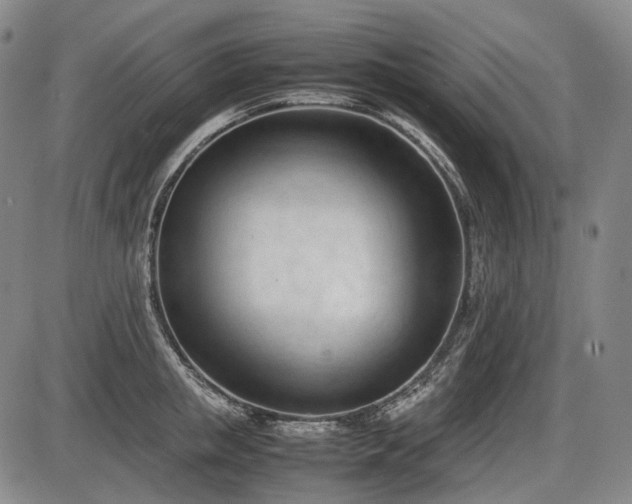 X0000086060853200703301039