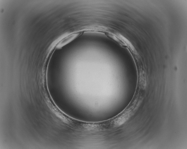 X0000086060854200703301039