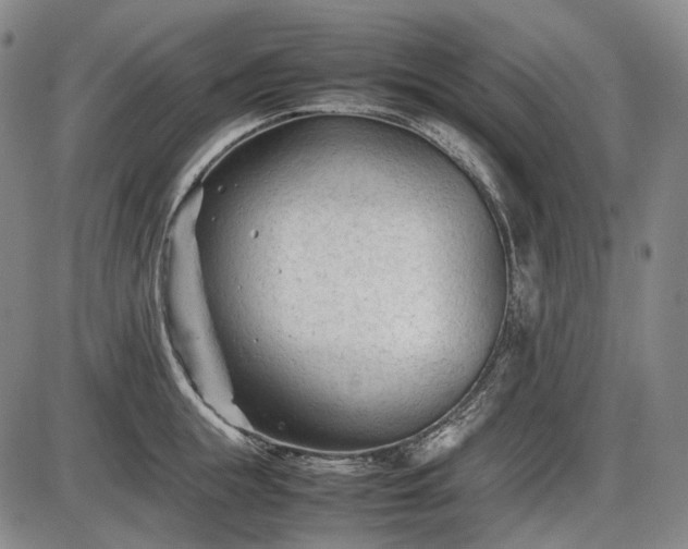 X0000086060855200703301039