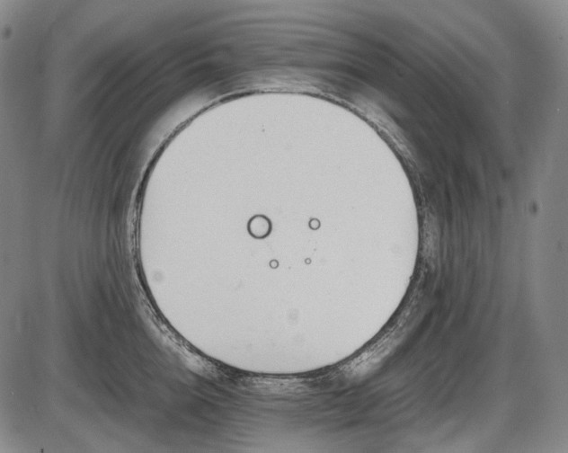 X0000086060856200703301039