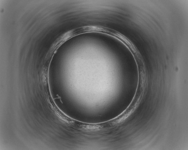 X0000086060857200703301039