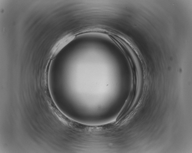 X0000086060858200703301039