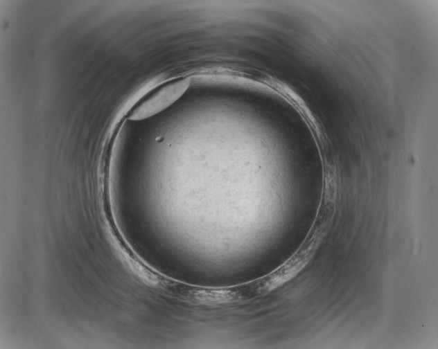 X0000086060859200703301039