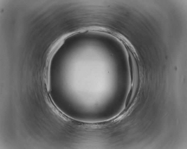 X0000086060860200703301039