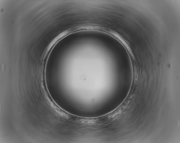 X0000086060861200703301039