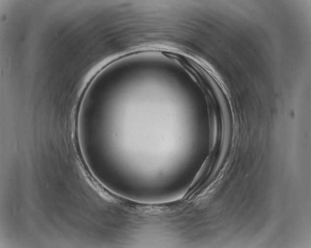 X0000086060862200703301039