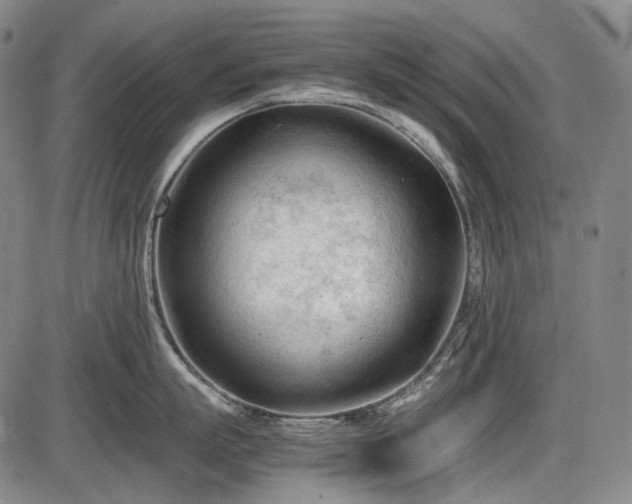 X0000086060863200703301039