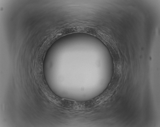 X0000086060865200703301038